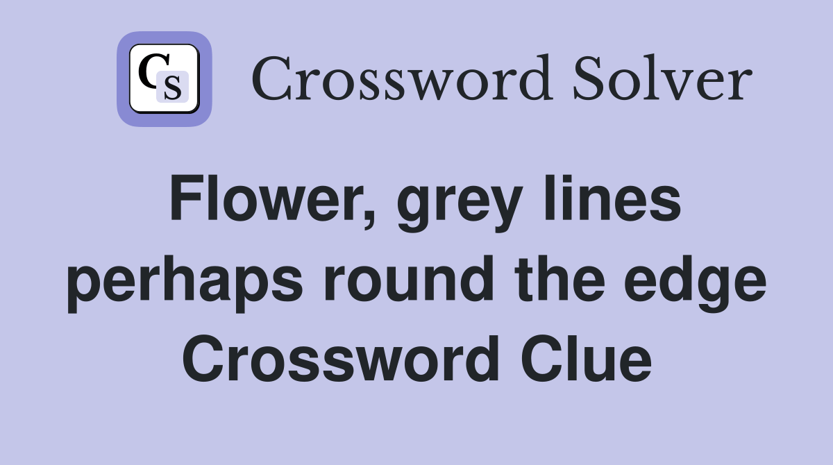Flower, grey lines perhaps round the edge Crossword Clue Answers